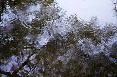 Güzel kış manzarası karla kaplı parkta.