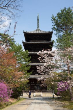 Ninna-ji Tapınağı Pagoda 'nın güzel mimarisi, Kyoto, Kyoto Bölgesi, Japonya