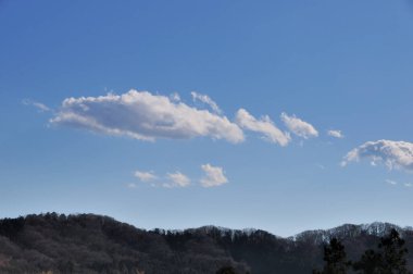 Dağlarda ağaçlar ve mavi gökyüzü olan güzel bir manzara.