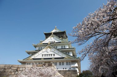 Japonya 'daki ünlü Osaka şatosu kulesinin manzaralı görüntüsü.
