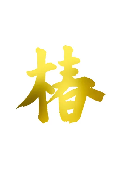 Symboles Calligraphiques Chinois Image Conceptuelle — Photo