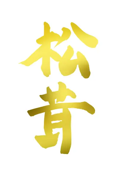 Chinese Kalligrafie Symbolen Conceptuele Afbeelding — Stockfoto