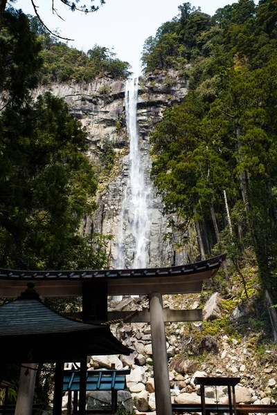 Ormanda güzel bir şelale