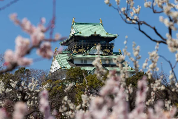 Osaka Castle Cherry Blossoms Spring — Stock Photo, Image