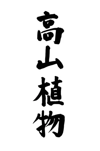 Símbolos Caligrafía Chinos Imagen Conceptual —  Fotos de Stock