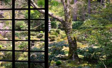 Ağaçları ve bitkileri olan Japon bahçesi. 