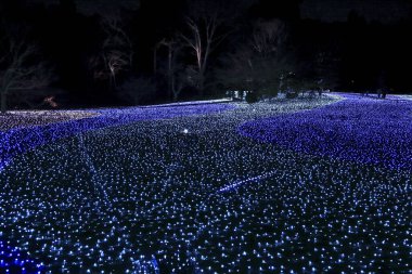Yerde binlerce lamba bulunan bahçenin gece manzarası