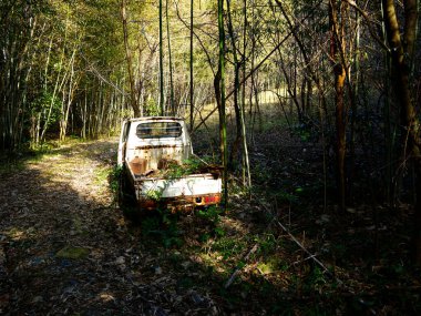 Ormanın ortasında terk edilmiş bir araba.