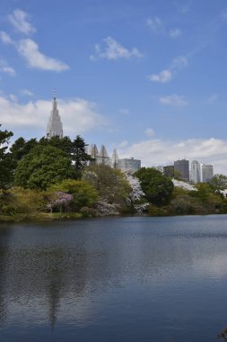 Tokyo, Japonya 'daki Shinjuku Gyoen Ulusal Bahçesi 