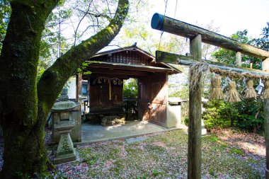 Japonya 'daki eski, geleneksel Japon tapınağı.