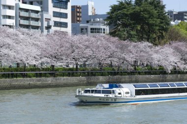 Denizde hareket eden geminin görüntüsü