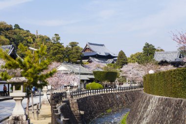 Şehirdeki geleneksel tapınak binasının manzarası