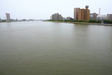Sumida Nehri kıyısındaki modern binaların Tokyoları