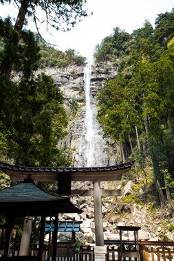 Japonya 'daki dağlarda şelale doğa arka planında
