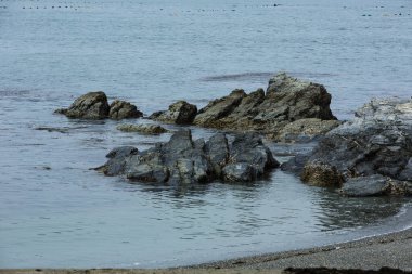 Güzel deniz kıyısı. seyahat arkaplanı