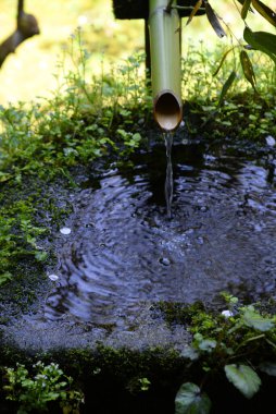 Parkta akan çeşmenin yakınında.