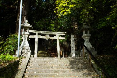 Yeşil ağaçlar arasında geleneksel Japon Torii Kapısı 'na doğru atılan taş adımlar.