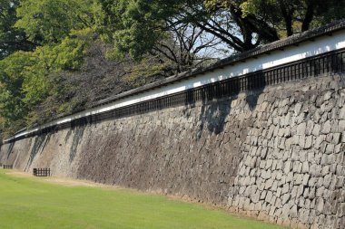 Yeşil şehir parkındaki eski taş duvar  
