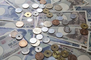 Japon para birimi, yen banknotları ve sikkeler