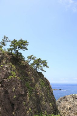 Kayalık deniz sahil güzel manzara                