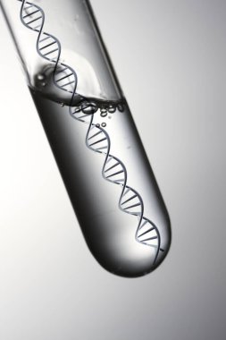 DNA moleküllü 3D matara, bilim konsepti