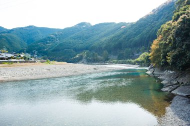 Dağlardaki nehir boyunca orman ağaçları  