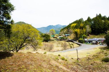 güzel dağ manzarası