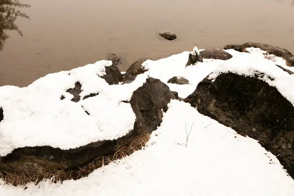 Vacker Vinter Utsikt Över Parken Täckt Med Snö — Stockfoto