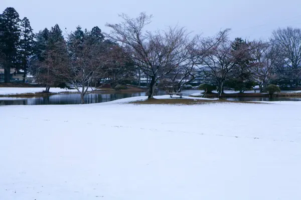 Piękny Widok Zimowy Park Pokryty Śniegiem — Zdjęcie stockowe