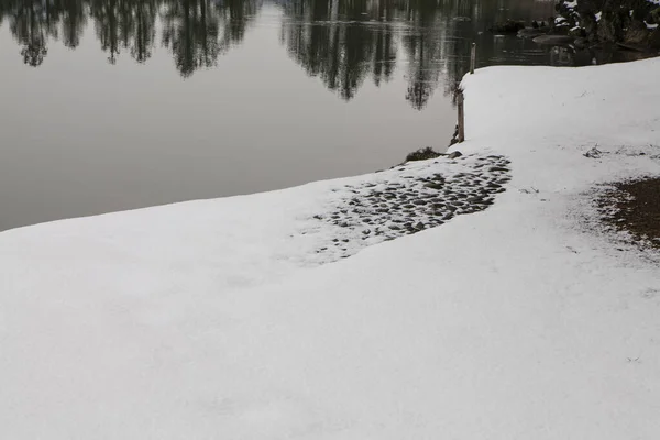 公园里积雪覆盖的冬季美景 — 图库照片