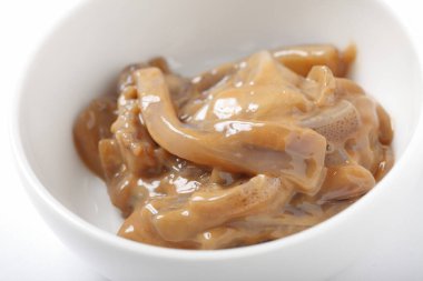 Shiokara mürekkep balığı yemeği, tuzlu terbiye edilmiş kalamar.