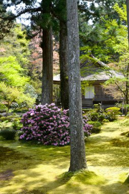 Baharda Japon bahçesi, Kyoto, Japonya