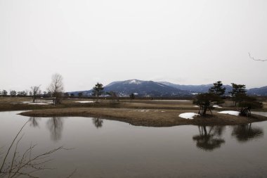 Nehirli güzel bir manzara