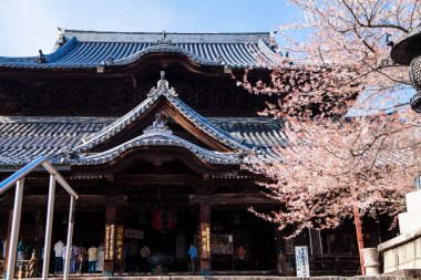 Güzel Japon tapınağı manzarası, Budizm konsepti