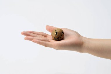 Beyaz arka planda çikolatalı kurabiye tutan bir kadın.