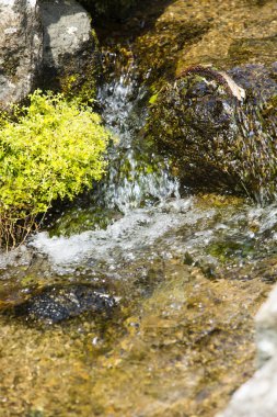 Dağlardaki güzel nehir