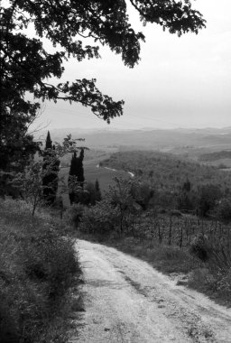Kırsaldaki patikanın siyah beyaz fotoğrafı