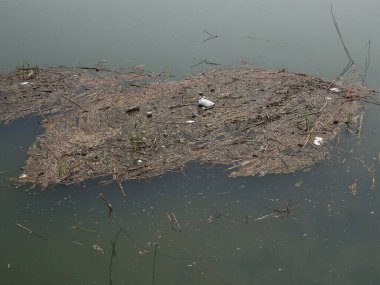 Yüzen enkaz ve çöpler açık havada bulanık su yüzeyini kirletiyor.