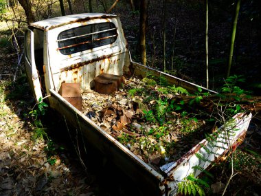 Aşırı gelişmiş bitki ve ağaçlarla çevrili terk edilmiş paslı bir kamyon.