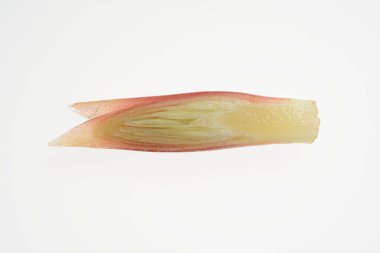 Beyaz arkaplanda yalıtılmış tek bir muz çiçeği yaprağı