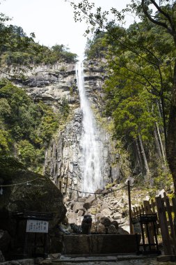Japonya 'daki dağlarda şelale doğa arka planında