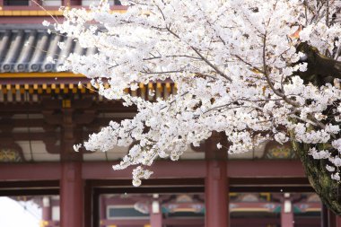 Parktaki güzel mimari