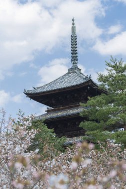 Kiraz çiçekleri ve Ninna-ji Tapınağı Pagoda, Kyoto, Kyoto Bölgesi, Japonya