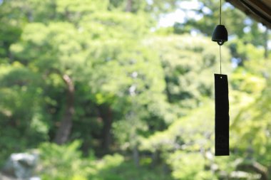 Rüzgar doğada çanı çalıyor.