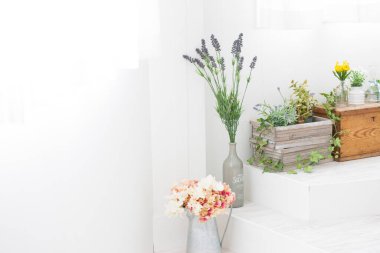 güzel bir oturma odası vazolar ve saksılarda çiçekler