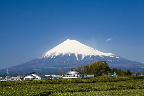 春の富士山 山梨県 — ストック写真