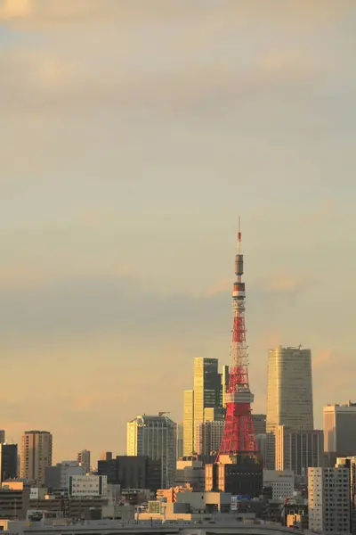 Modern Tokyo Sky Tower Evening Tokyo Japan — Stock Photo, Image
