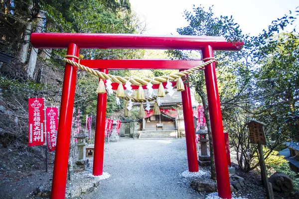 Totsukawa Köyündeki Güzel Tamaki Tapınağı — Stok fotoğraf