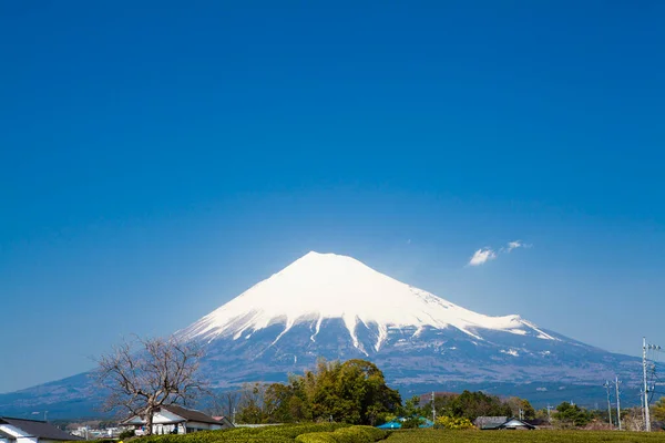 Mount Fuji Het Voorjaar Yamanashi Prefectuur Japan — Stockfoto