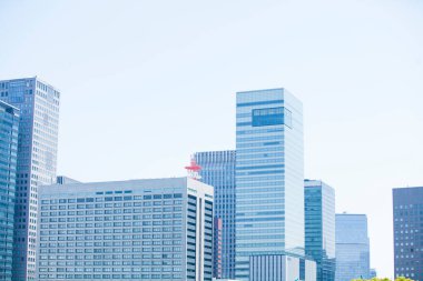 Şehrin modern binası 